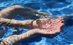 亚洲无人区码一二三区别